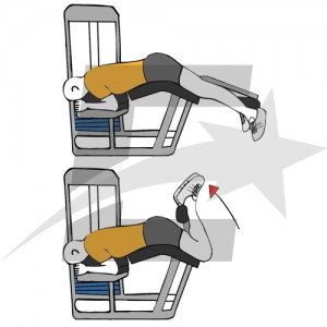 Curl femoral con maquina