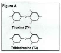 hormonas tiroideas