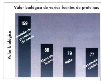 proteinas musculacion